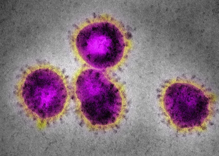 What do Chinese scientists say about coronavirus mutations?