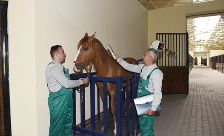 President Ilham Aliyev attends opening of Qarabag Equestrian Complex