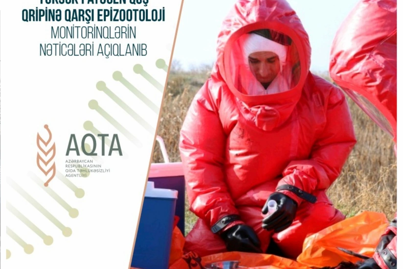 Yüksək patogen quş qripinə qarşı monitorinqlərin nəticələri açıqlanıb