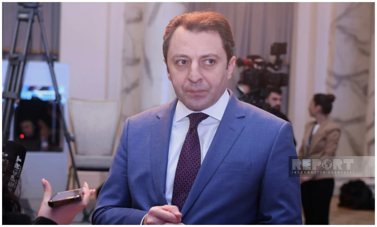 Nazir müavini: Sülh müqaviləsindən sonra Azərbaycan və Ermənistan beynəlxalq məhkəmələrdə iddialardan geri çəkiləcəklər - EKSKLÜZİV