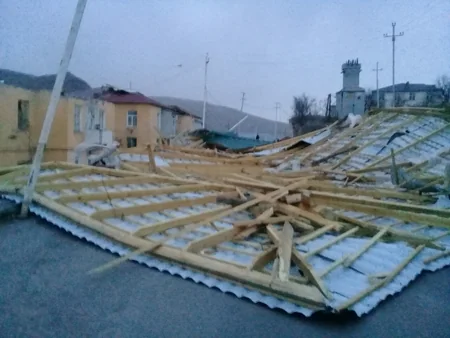 Сильный ветер оставил без света ряд поселений в Гедабекском и Дашкесанском районах - ФОТО