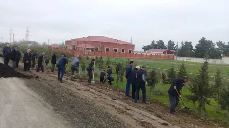 Ağacəkmə aksiyaları zamanı Bakıda 3050, rayonlarda 21770 ağac əkilib