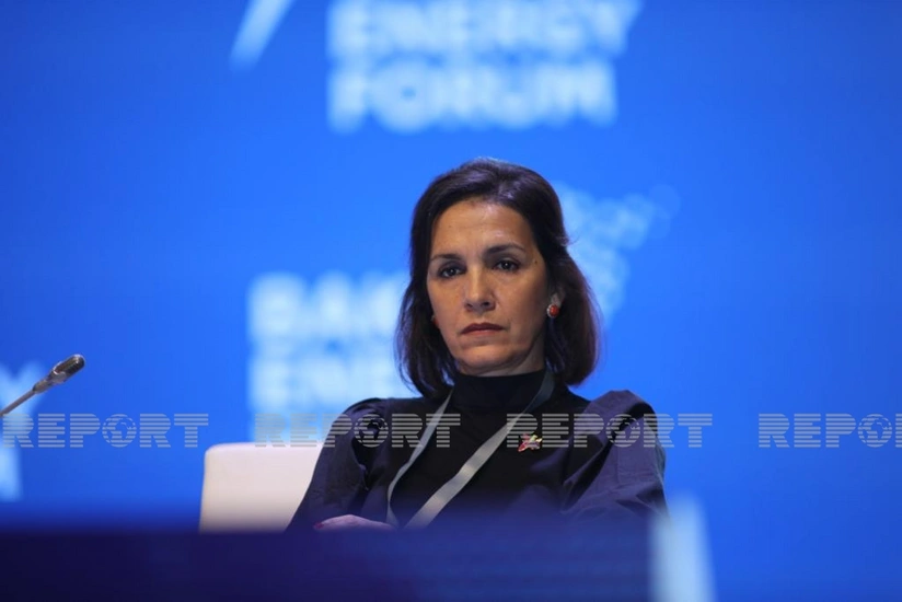 Кристина Борреро: Диверсификация энергетики способствует регулированию цен