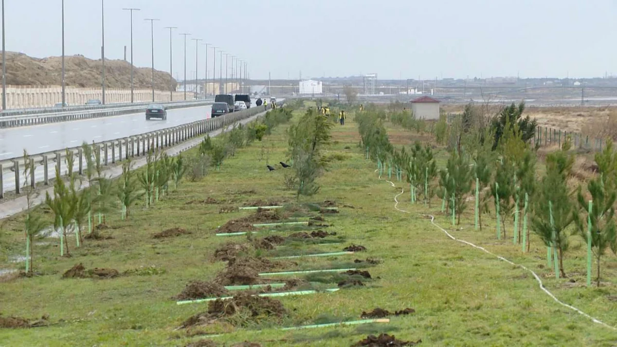 Azərbaycanda ağac və kolları sığortalamaq mümkün olacaq