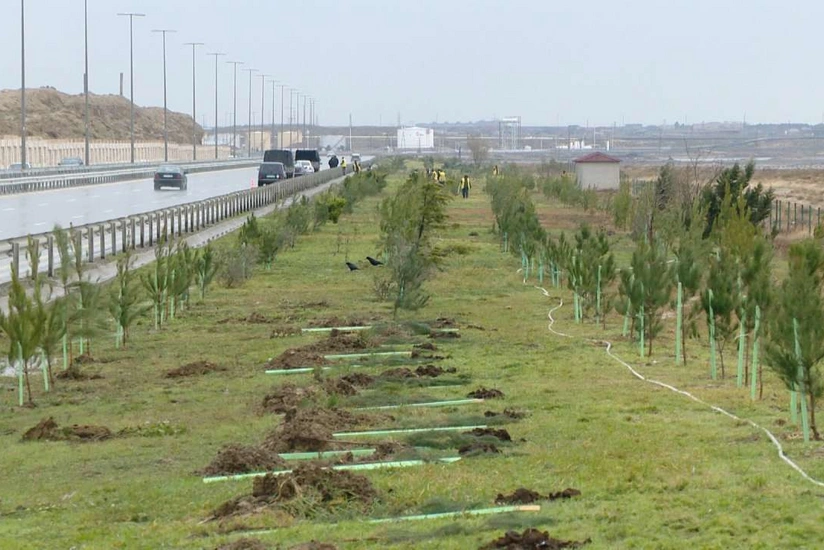 Azərbaycanda ağac və kolları sığortalamaq mümkün olacaq