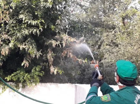 Nazirlik: Ötən il xüsusi təhlükəli zərərli orqanizmlərə qarşı kompleks mübarizə tədbirləri həyata keçirilib
