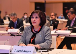 Sahibə Qafarova: Ermənistan Azərbaycana qarşı separatizm və terrorçuluq əməlləri həyata keçirib