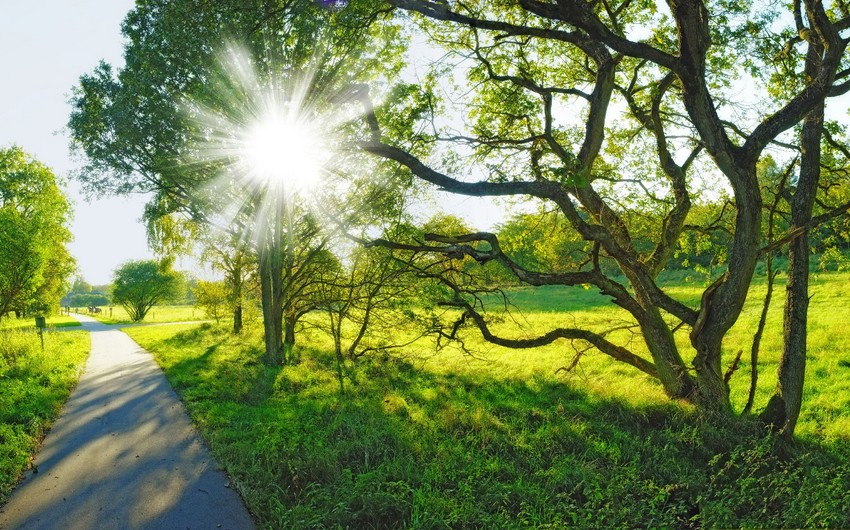 Weather forecast in Azerbaijan for June 1 revealed