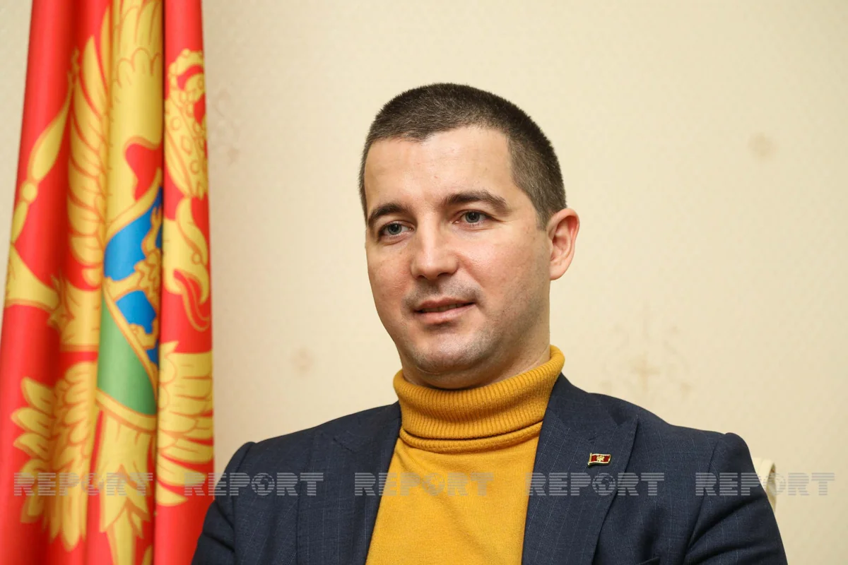 Aleksa Beçiç: Azərbaycanla Monteneqro arasında viza rejimi sərbəstləşdirilməlidir