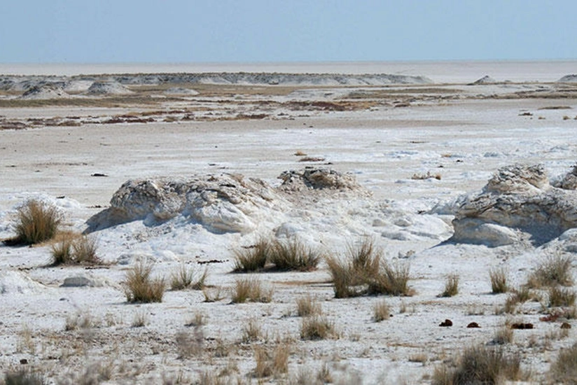 Mil-Muğan Kollektoru vasitəsilə 262 min hektar şoran torpaq yuyulub