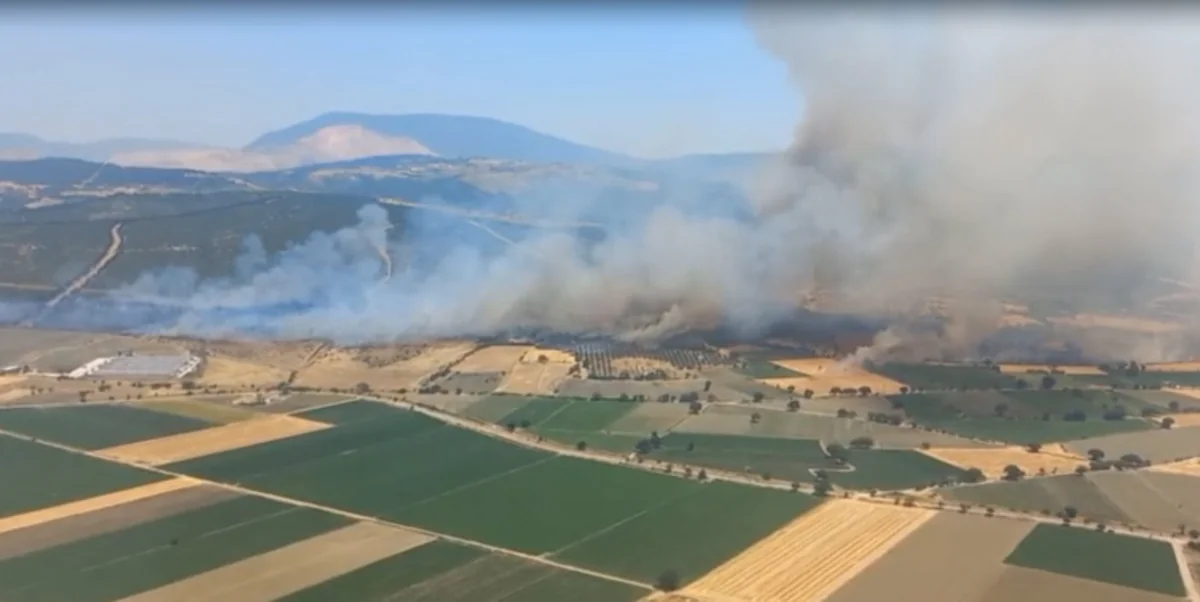 İzmirdə meşə yanır, 5 təyyarə, 7 helikopter cəlb olunub