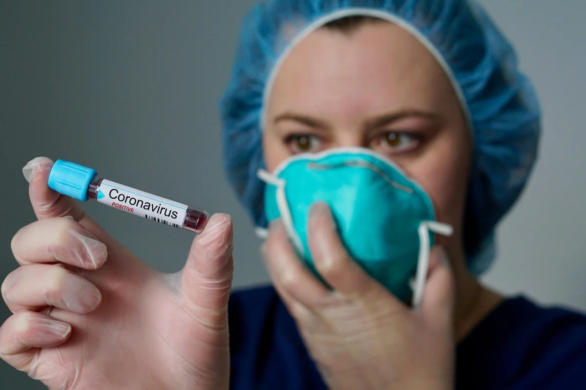 Koronavirus heyvanlar arasında da yayılır - FOTO