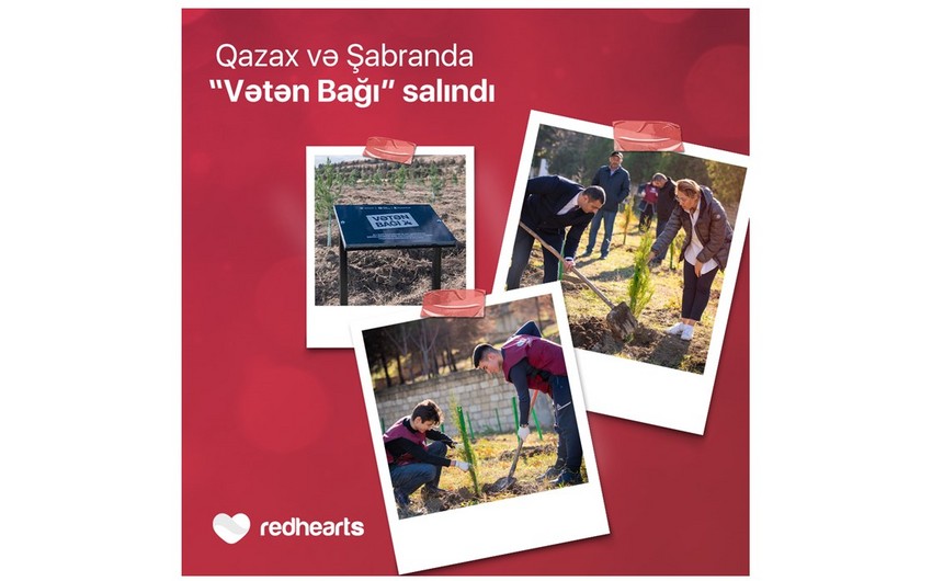 “Qırmızı Ürəklər” Fondunun dəstəyilə Qazax və Şabranda “Vətən Bağı” salındı
