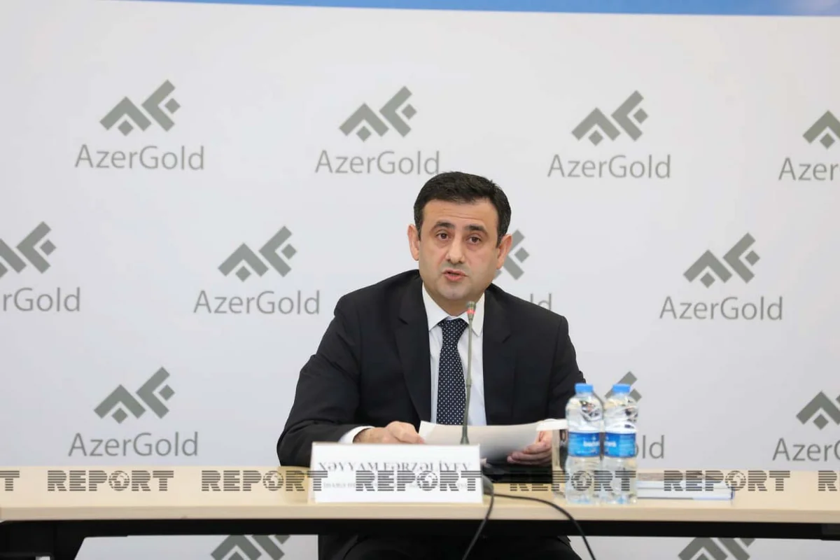 AzerGold eyes putting 10 deposits into operation by 2029