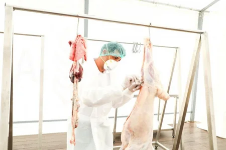Tent-type slaughterhouse launched in Agali village in Zangilan