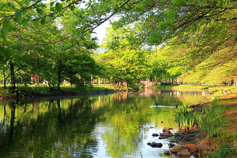 Sunny weather expected in Baku tomorrow