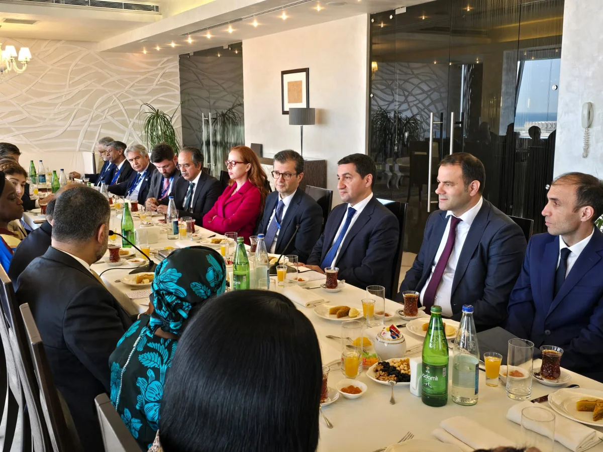 Hikmət Hacıyev: YUNESKO bir adamın əlində alətə çevrilməməlidir