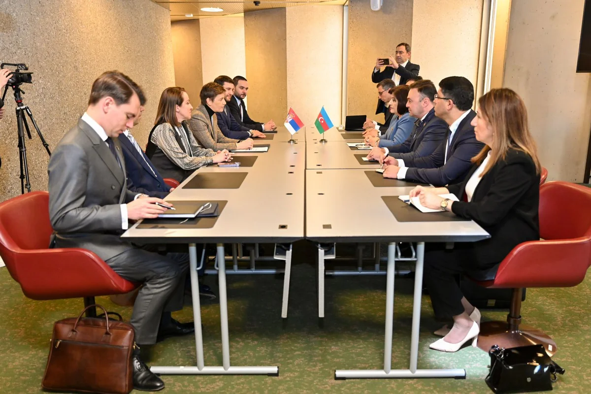 Speakers of Azerbaijani and Serbian parliaments mull bilateral co-op