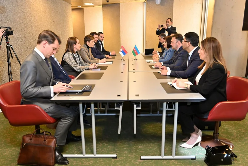 Speakers of Azerbaijani and Serbian parliaments mull bilateral co-op