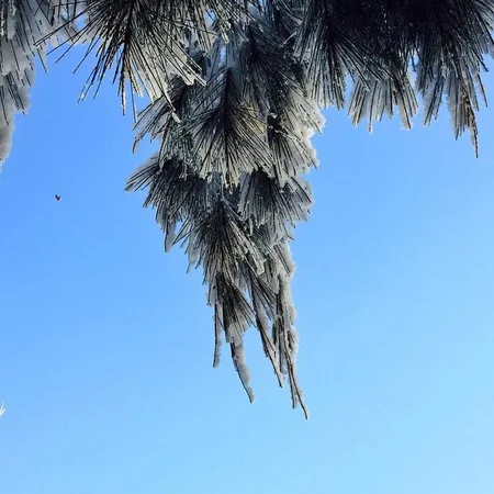 ​В первый день зимы в Австралии выпал снег - ФОТО