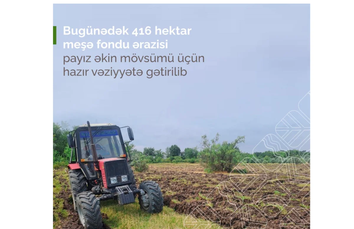 Bu günədək 416 hektar meşə fondu ərazisi payız əkini üçün hazırlanıb