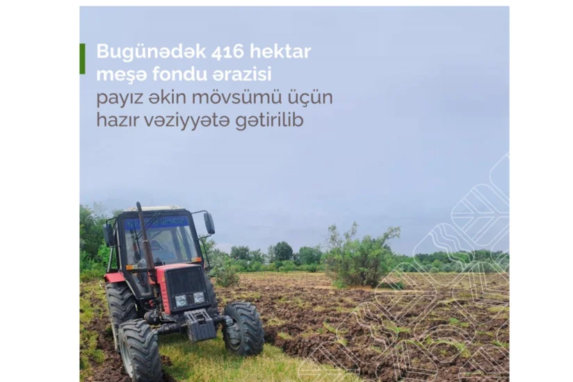 Bu günədək 416 hektar meşə fondu ərazisi payız əkini üçün hazırlanıb