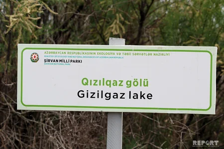 Üfüqlə yarımsəhranı birləşdirən Milli Park - REPORTAJ