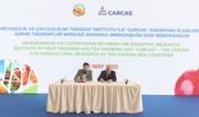 CARCAS Center, Institute of Fruit Growing and Tea Cultivation sign “Memorandum of Strategic Cooperation” in agriculture