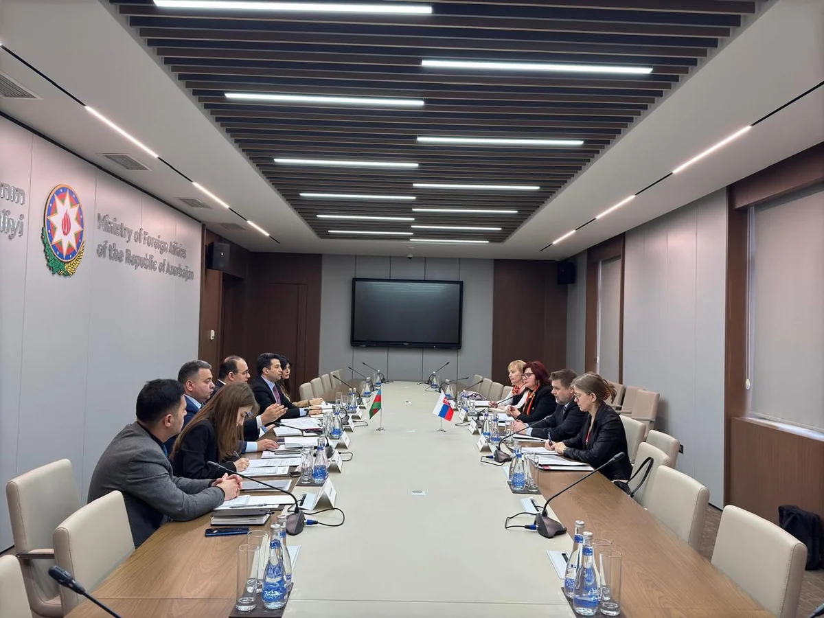 Azerbaijan and Slovakia hold first consular consultations
