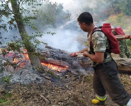 В Джалилабаде вспыхнул пожар в лесном массиве