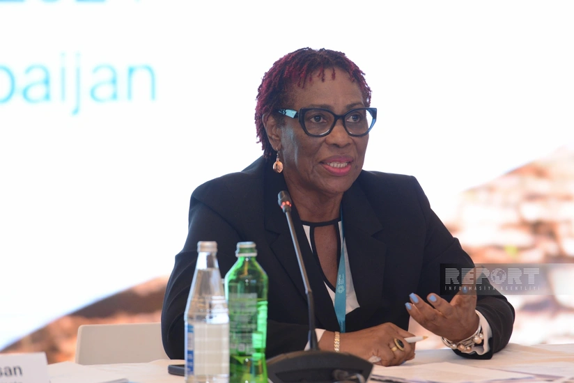 Una Mey Qordon: İqlim maliyyəsi məsələsi maksimal diqqət tələb edir