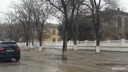 Sumqayıtda aşan ağacın altında qalan məktəbli qız ağır xəsrət alıb