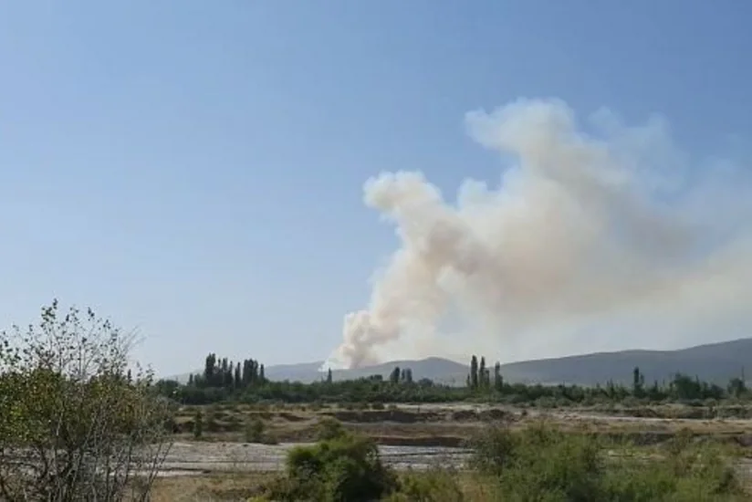 В Губе не удалось потушить пожар на лесной территории