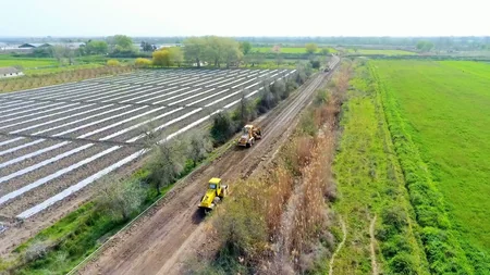 Salyan rayonunda 5 kəndin yolu yenidən qurulur