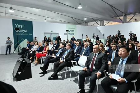 COP29 çərçivəsində Azərbaycanda ilk bərpa olunan enerji hərracının qalibi elan edilib