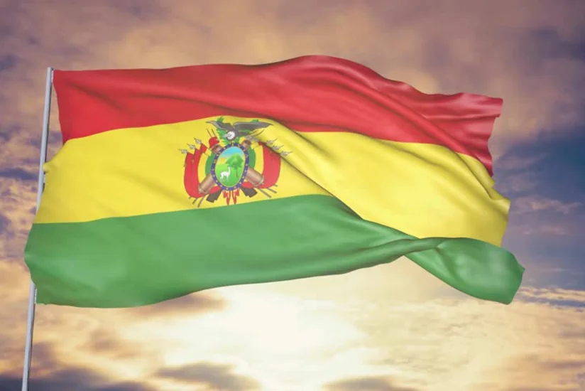В Боливии президентские выборы перенесли на октябрь