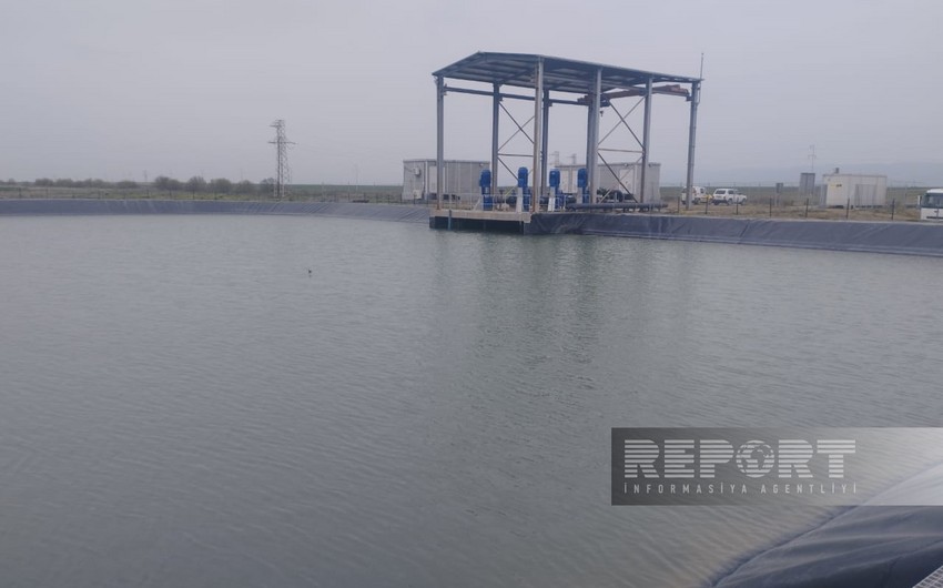 “Aqro Dairy” MMC-nin baş aqronomu: Regionlardakı yeni suvarma qurğuları məhsuldarlığı artıracaq 