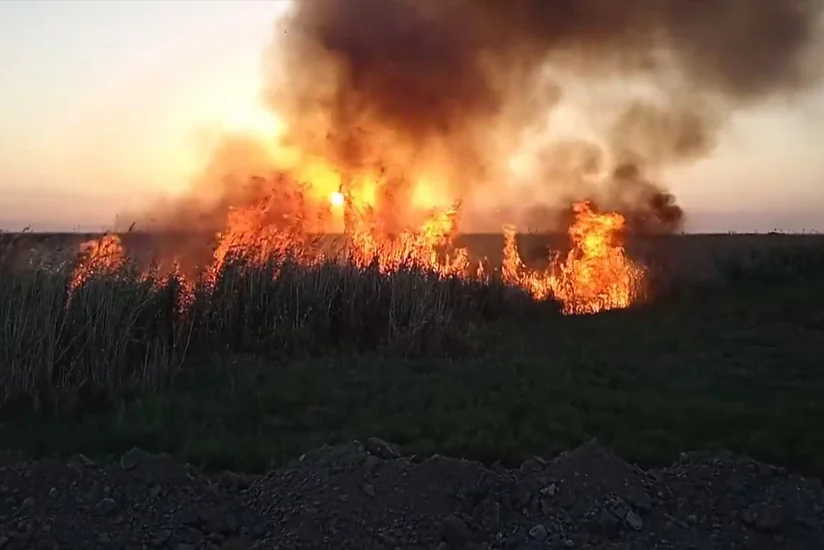 В Джалилабаде возник пожар на открытой местности