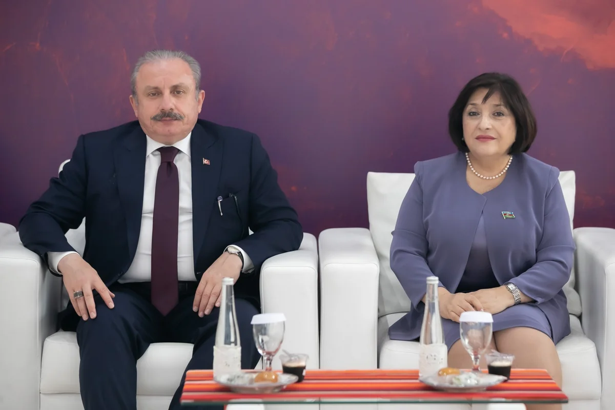 Azərbaycan və Türkiyə parlamentlərinin sədrləri görüşüb - YENİLƏNİB