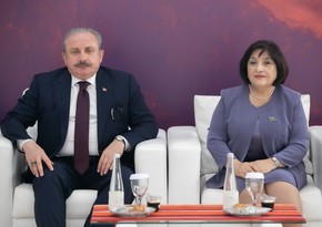 Спикеры парламентов Азербайджана и Турции провели встречу в Индонезии