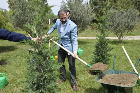 SOCAR “Heydər Əliyev İli” çərçivəsində ağacəkmə aksiyası təşkil edib