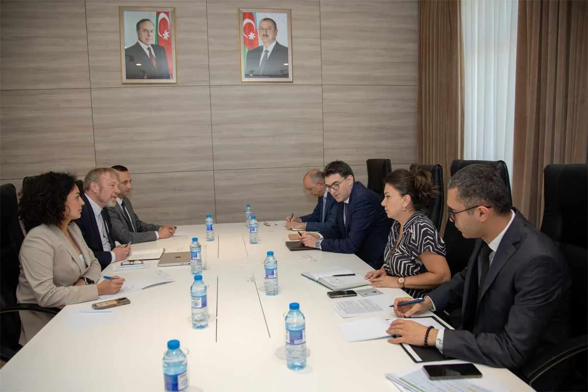 Ülviyyə Cəlilzadə: “Energetika Nazirliyi Dünya İqlim Fondu ilə əməkdaşlıqda maraqlıdır” - FOTO