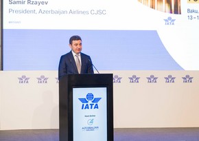 Самир Рзаев: AZAL разрабатывает ESG-стратегию и план по достижению нулевых выбросов