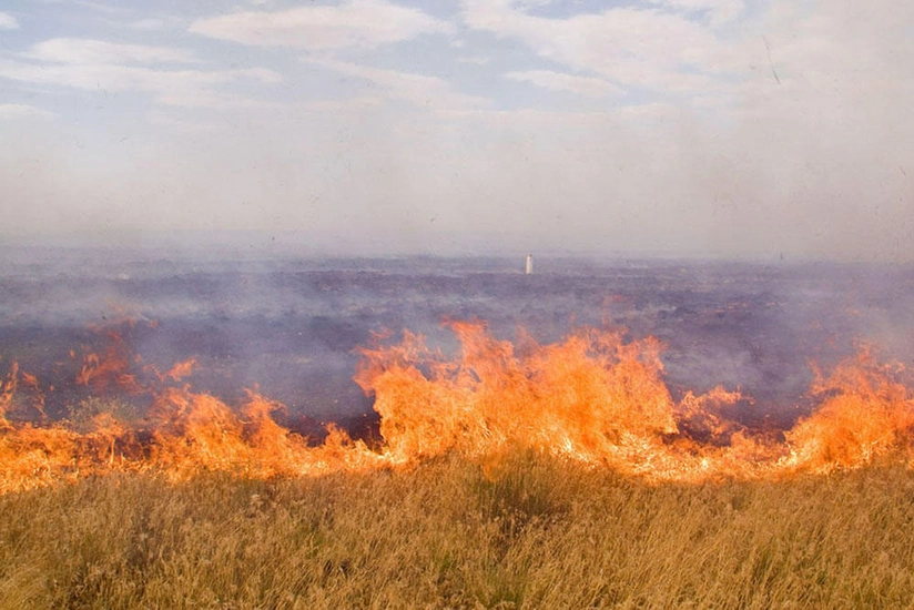 Fire breaks out in mountainous area in Lerik