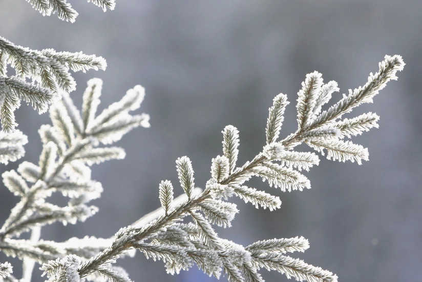 Azərbaycanda şaxtalı hava şəraiti davam edəcək