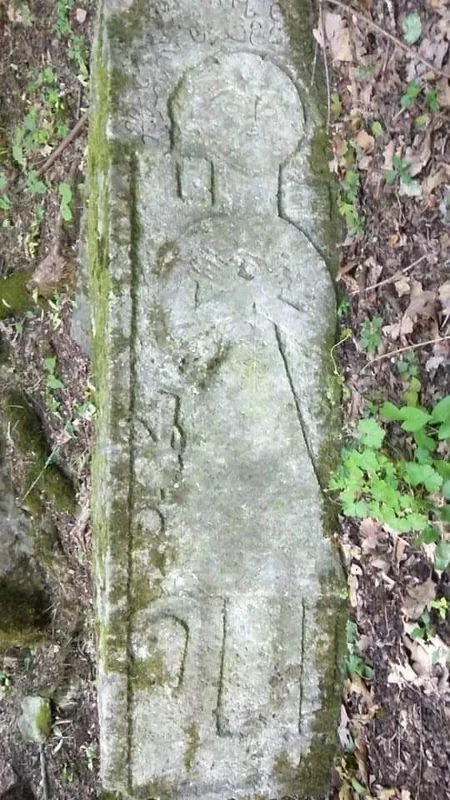 Azərbaycanlı gənc Gürcüstanda tarixi artefaktlar tapıb