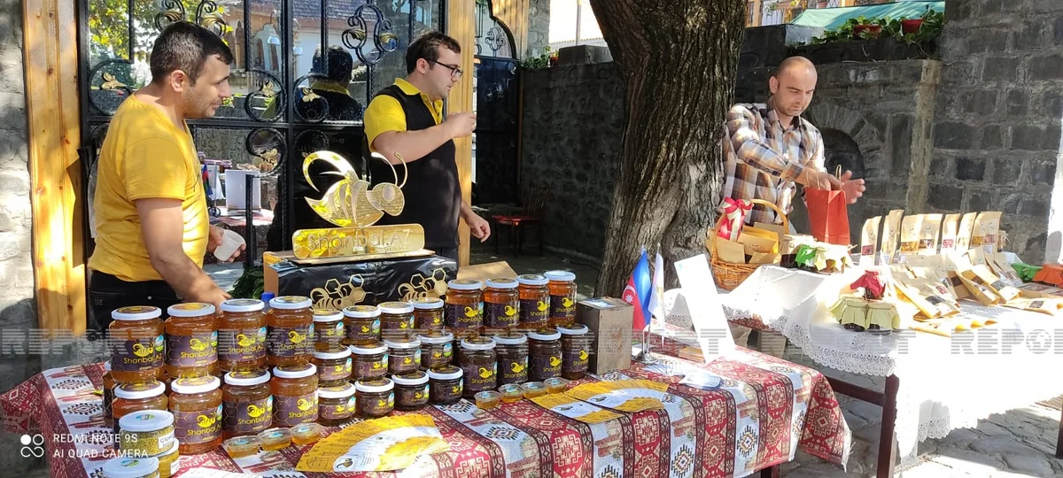 Azərbaycanın şimal-qərb bölgəsində yarmarka tipli sərgi keçirilib