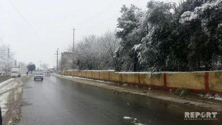 Qar Lənkəranın bir sıra kəndlərini işıqsız qoyub - FOTO