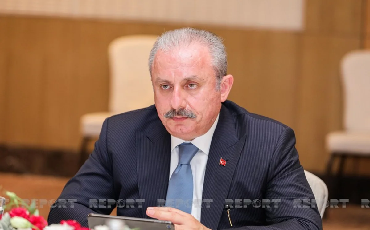 Türkiyə parlamentinin sədri səs verib