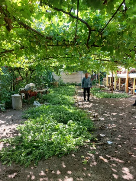 Polis Bərdədə əməliyyat keçirib, 3 nəfər saxlanılıb
